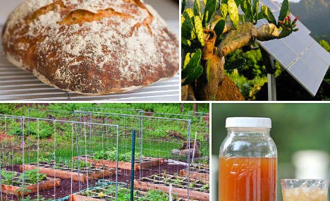 Urban-Homesteading-Main