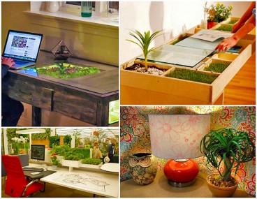 City-Farm-Cubicle-Green-Collage
