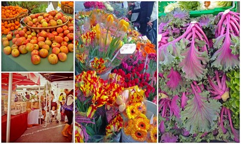 Larchmont Farmer's Market Collage - YELP photos