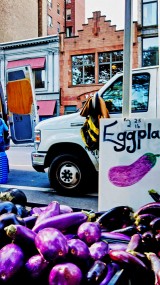 eggplants in NYC
