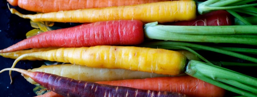 Carrots: The Mystery of Your Favorite Snack