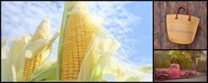 Growing Corn in Containers for Backyard BBQs