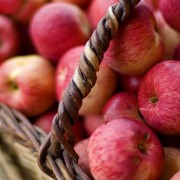 Apple Cobbler & Apple Crisp Recipes