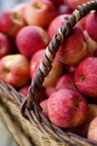 Apple Cobbler & Apple Crisp Recipes