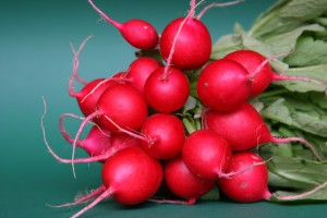 Growing Radishes: Harvesting for Fall Food
