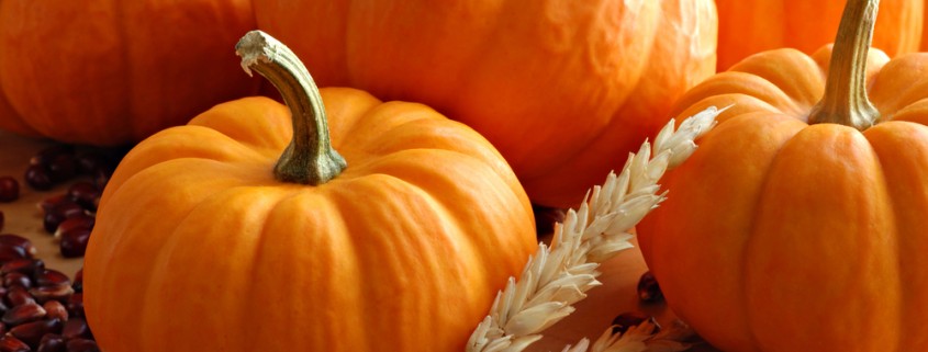 Host Your Own DIY Pumpkin Patch / Carving Party!