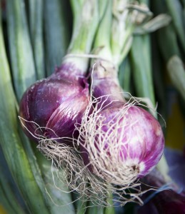 Gardening Winter To-Do List: Growing Onions From Seed